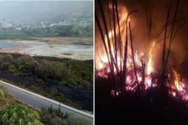 ¡LAMENTABLE! Incendio en la Laguna de Urao en Mérida consumió gran parte del monumento natural (+Fotos)