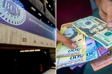 ¡REVELADOR! Advierten que dólar oficial subió porcentualmente más que el paralelo por alza de 84% de la liquidez