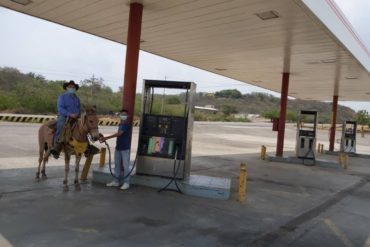 ¡INACEPTABLE! Productores agropecuarios de Carora se movilizan a caballo ante falta de combustible (+Fotos)
