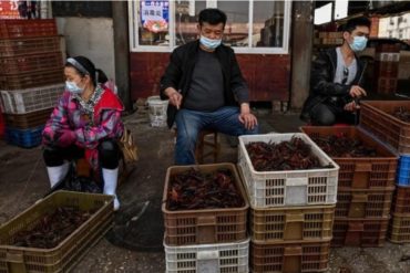 ¡SE LO MOSTRAMOS! Así están los mercados chinos señalados de origen del coronavirus (+Fotos)