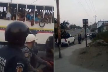 ¡UNA LOCURA! En perreras se llevan detenidos a los que no acatan la cuarentena en Lara (+Video)