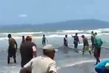 ¡VÉALO! Cardumen de peces llegó a las orillas de una playa en Margarita como una “bendición” para pescadores y habitantes de la zona (+Videos)