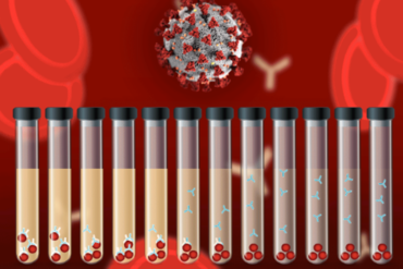 ¡TE INTERESA! Así es como la sangre de personas que superaron la infección por COVID-19 podría salvar a nuevos contagiados