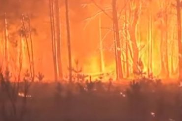 ¡ALERTA! Incendio forestal cerca de Chernóbil provocó un incremento de radioactividad en la zona (+Fotos +Video)