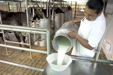 Advierten que la leche podría escasear en algunas zonas debido al impacto de las lluvias en estados productores