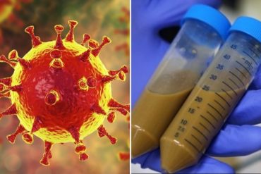 ¡OJO CON ESTO! Descubren una nueva vía de transmisión del coronavirus: Las heces