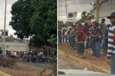 ¿Y ENTONCES? Sin distancia social: La megacola que se armó este #27May en Maracay para surtir gasolina (+Fotos)