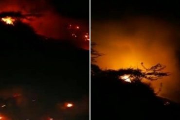 ¡TERRIBLE! Reportaron incendio forestal en la zona del dique de la comunidad de El Valle, Nueva Esparta (+Video)