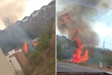 ¡OJO CON ESTO! Reportan incendio forestal en montaña adyacente a Lomas del Ávila este #6May (+Fotos)