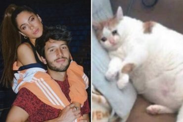 ¡SE LO TRAEMOS! “No creo más en el amor»: los mejores memes que dejó en redes la separación de Sebastián Yatra y Tini Stoessel (+Memes)