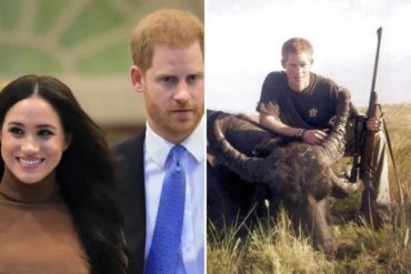 ¿QUÉ TAL? El príncipe Harry habría vendido sus rifles de caza para complacer a Meghan