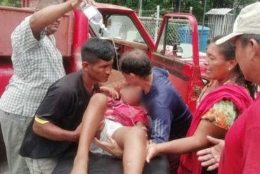 ¡LAMENTABLE! Menor indígena de 12 años falleció tras ser mordido por una serpiente en la Sierra de Perijá: Denuncian que por falta de combustible no fue trasladado oportunamente