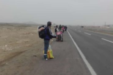 ¿DÓNDE ESTÁ NICO? Estos caminantes venezolanos decidieron emprender el regreso a casa desde Perú (+Video)