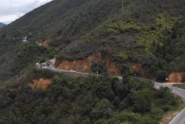 ¡TRÁGICO! Venezolano murió tras ser picado por abejas y caer a un abismo en Colombia (había comprado una bicicleta para volver a Venezuela)