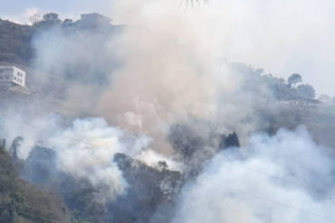 ¡PREOCUPANTE! Reportaron incendio en El Junquito: bomberos no tienen gasolina para trasladarse (+Fotos)