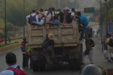 ¡MÁS RIESGOS! Las peligrosas perreras reviven en Los Teques ante la suspensión del transporte por el coronavirus