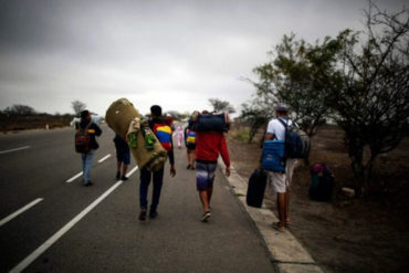 ¡SE LO CONTAMOS! “De vuelta a casa”: La experiencia de 28 venezolanos que caminan desde Lima hacia su país