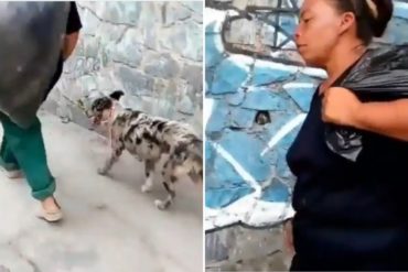 ¡SEPA! Lo que se sabe del caso de la mujer que se hizo viral tras ser señalada de «comerse» a los perros en Los Teques (+Video)