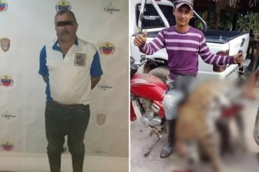 ¡JUSTICIA! Anuncian detención del autor material del asesinato de un jaguar en Barinas