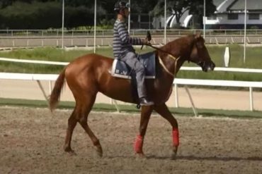 ¡DEGARRADOR! “No tengo hijos, pero siento como si hubiera perdido a uno”: El testimonio del entrenador de Ocean Bay