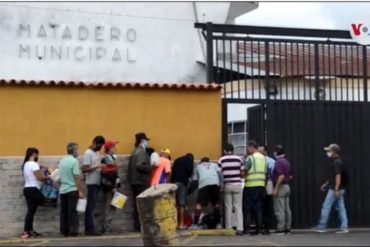 ¡CONÓZCALO! El “Pichón”, el plato que preparan venezolanos con sangre de res y vegetales para paliar el hambre: “No tenemos con qué comprar un kilo de carne”