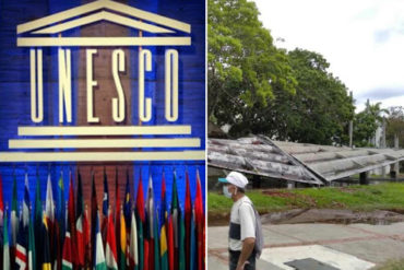 ¡BRAVO! La Unesco ofrece su ayuda para recuperar el techo que se desplomó de los pasillos de la UCV