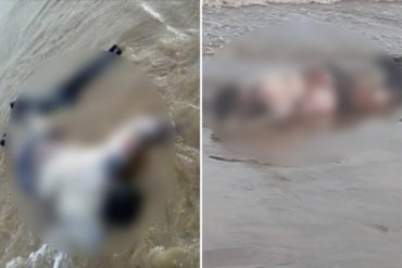 ¡SEPA! Localizan 3 cadáveres con trajes de buzo en las costas de la Playa Sur de Adícora, en el estado Falcón