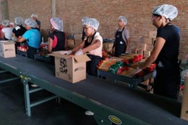 ¿QUÉ TAL? “Quien no escanee el Carnet de la Patria, no recibe la caja CLAP”: La supuesta nueva orden del Ministerio de Alimentación