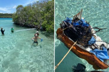 ¡COMPROMETIDOS! Ciudadanos limpiaron en los manglares de Los Juanes en el Parque Nacional Morrocoy luego del derrame petrolero (+Video y fotos)