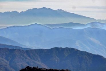 ¡QUÉ DOLOR! Parque Sierra Nevada de Mérida es deforestado por escasez de gas doméstico