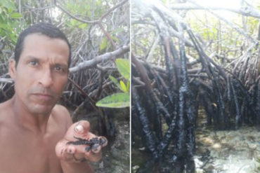 ¡TRISTE PANORAMA! Lejos de lo que dice el régimen: así se encuentran áreas del Parque Nacional Morrocoy afectadas por el derrame petrolero (+video y fotos)