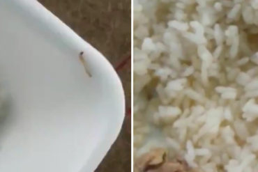 ¡GRAVE! Aseguran que entregan comida con gusanos a personas que tienen más de un mes aisladas en un colegio de Apure (+Video)