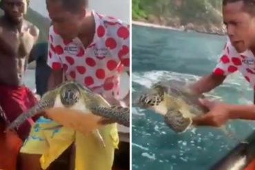 ¡VALE LA PENA VERLO! “Merece ser libre”: El emocionante momento en el que pescadores de Vargas liberaron a una tortuga carey, en peligro de extinción (+Video)