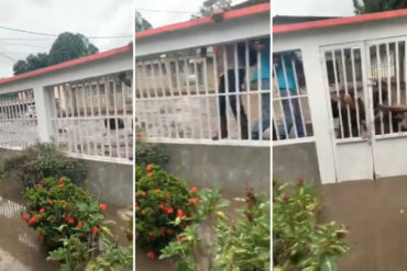 ¡ATERRADOR! El momento en que vecinos se aferraron a una reja para no ser arrastrados por el río El Limón en Aragua (+Video)