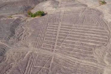 ¡SORPRENDENTE! Descubren en Falcón geoglifos zoomorfos similares a los encontrados en Perú y Bolivia (habrían sido realizados por culturas precolombinas) (+Fotos)