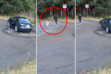 ¡LE MOSTRAMOS! El desgarrador momento en que una mujer abandona a su perro en un bosque (+Video)