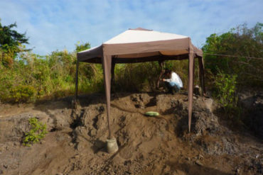 ¡IMPRESIONANTE! Hallan en Monagas el fósil de murciélago vampiro gigante más antiguo del mundo