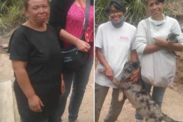 ¡DE TERROR! Mujer fue detenida en Los Teques por asesinar perros y gatos: «Los mataba y picaba para luego vender su carne»