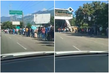 ¡INCREÍBLE! La insólita e interminable cola para ingresar al Saime en Aragua este #19Oct por jornada especial de cedulación (+Video)