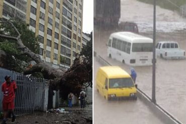 ¡UN DILUVIO! Fuerte lluvia en Caracas este #29Oct: distribuidor Altamira con grandes lagunas y árboles caídos en la avenida Andrés Bello (+Fotos y videos)