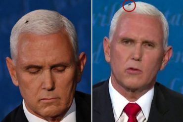 ¡LE CONTAMOS! Una mosca sobre la cabeza de Mike Pence protagoniza el debate vicepresidencial (+Fotos +Reacciones)