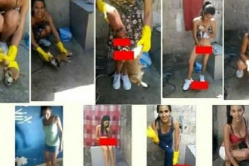 IMPACTANTE! El perturbador caso de una mujer en Lara que comercializaba “pornografía” de aplastamiento y muerte de animales (la práctica se llama “animal crush fetish”) (+Video) IMPACTANTE! El perturbador caso de una mujer en Lara que comercializaba “pornografía” de aplastamiento y muerte de animales (la práctica se llama “animal crush fetish”) (+Video)