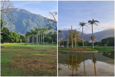 ¡QUÉ TRISTEZA! El desolador panorama en el Parque del Este tras 7 meses cerrado: maleza alta y pocos equipos de limpieza (+Fotos)