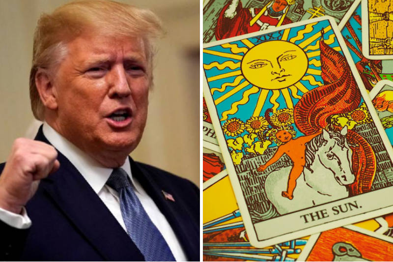 trump cartas