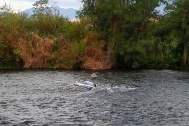 ¡ENTÉRESE! Murió en un accidente de helicóptero Jorge Brito, el banquero más importante de Argentina (en redes se desataron las especulaciones)