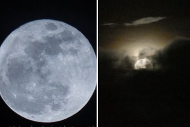 ¡IMPRESIONANTE! Las impactantes imágenes de la luna azul que se observó desde Venezuela este #31Oct (+Fotos)