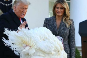 ¡SE LO MOSTRAMOS! Trump reaparece en actos públicos para el tradicional perdón a un pavo antes del día de Acción de Gracias (+Video)