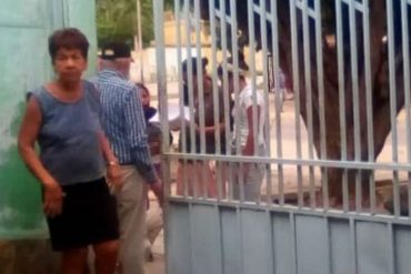 ¡ATENCIÓN! En Lara denuncian que militantes del PSUV están desplegados casa por casa presionando a la gente para que vayan a votar