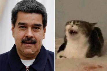 ¡LA BURLA TODO EL AÑO! Las 7 metidas de pata más épicas de Maduro en este 2020 (+Videos +Pena ajena)