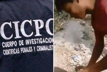 ¡DEBE SABER! Cicpc detuvo al joven de 17 años que lanzó a un gato al vacío en Petare